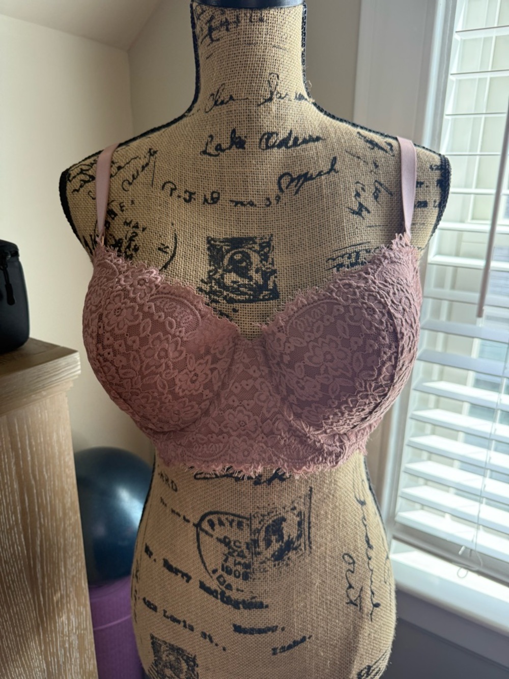 Aerie Bra in Dusty Rose